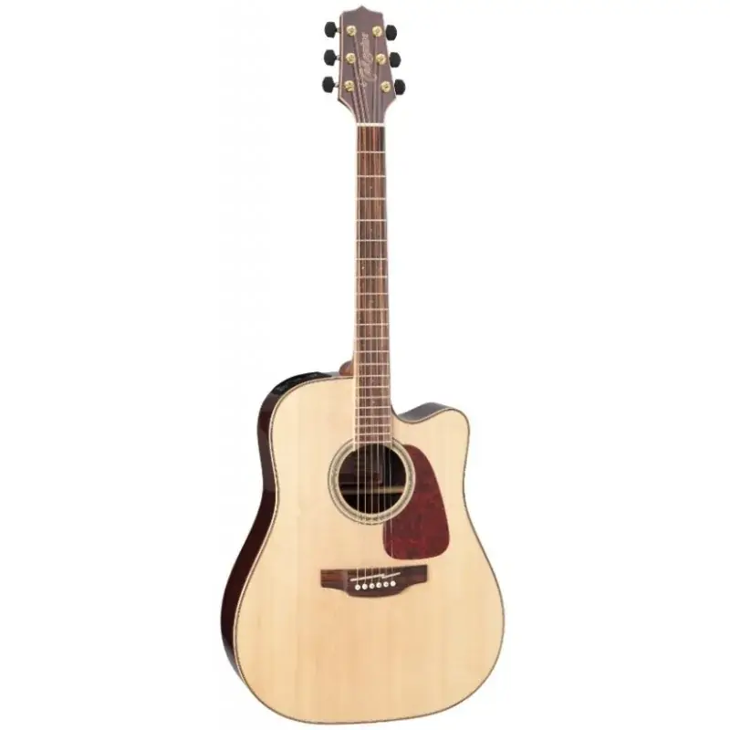 Petit Prix Takamine GD93CE