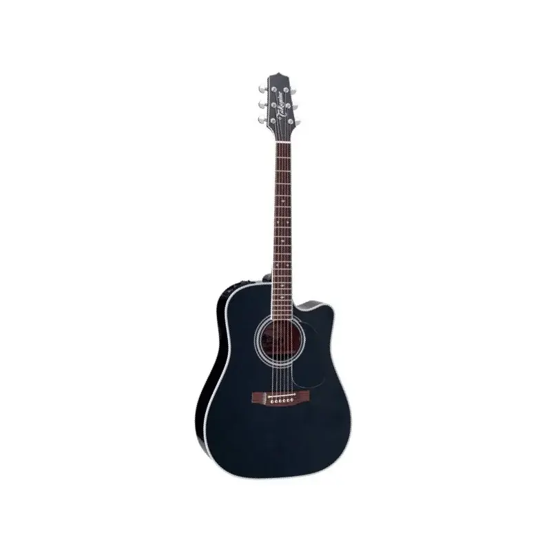 Bon Marché Takamine EF341SC