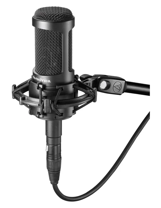 Audio Technica - AT2050 Pas Cher