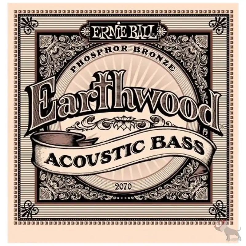Produit De Marque Ernie Ball EarthWood Acoustic Bass