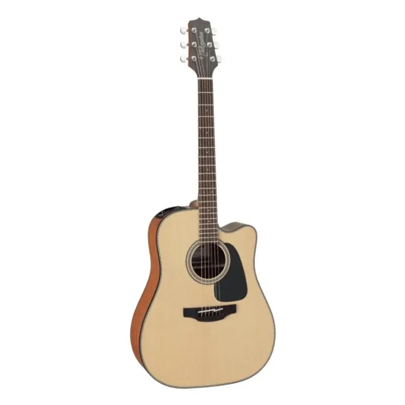 Takamine GD10CE NS Nouveauté