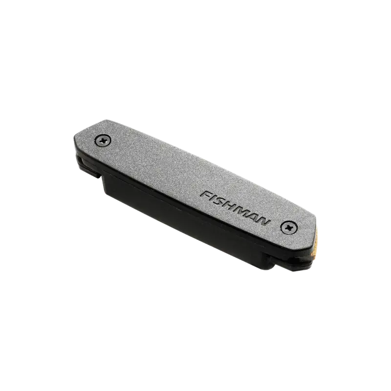 Expédié Aujourd'hui Fishman Neo-D Humbucker