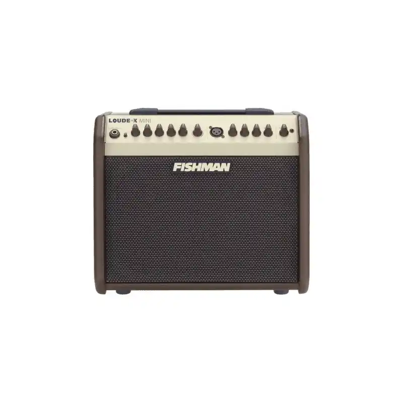 Fishman Loudbox Mini Meilleur Prix