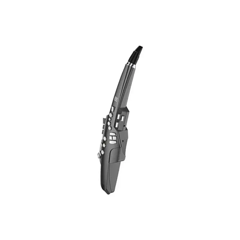 Roland Aerophone AE-10 Graphite Certifié