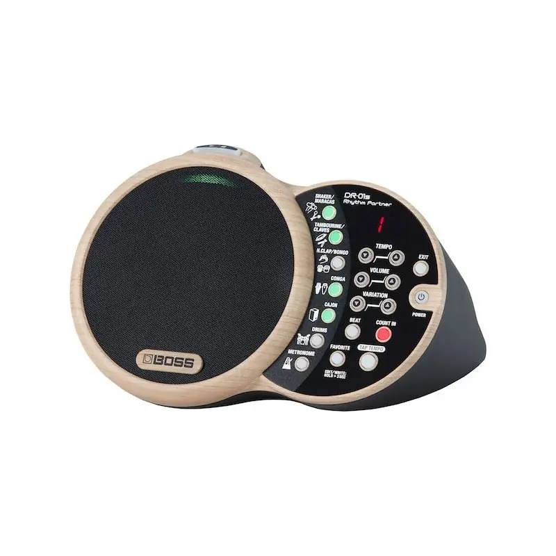 Prix Cassé Boss DR-01S