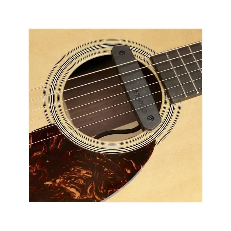 Certifié Fishman Neo-D 1