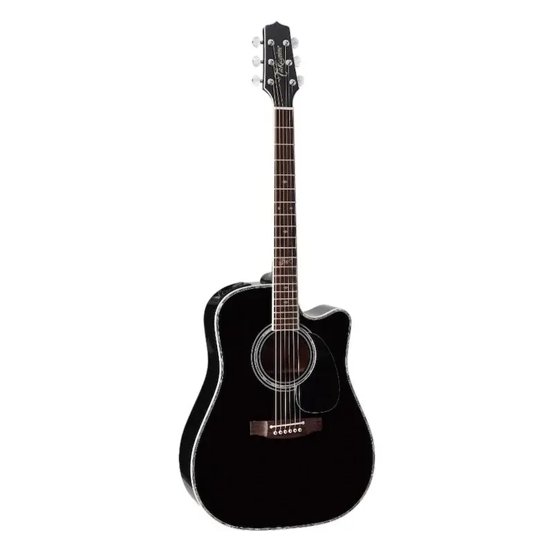 Takamine Steve Wariner 341SC Seulement Aujourd'hui