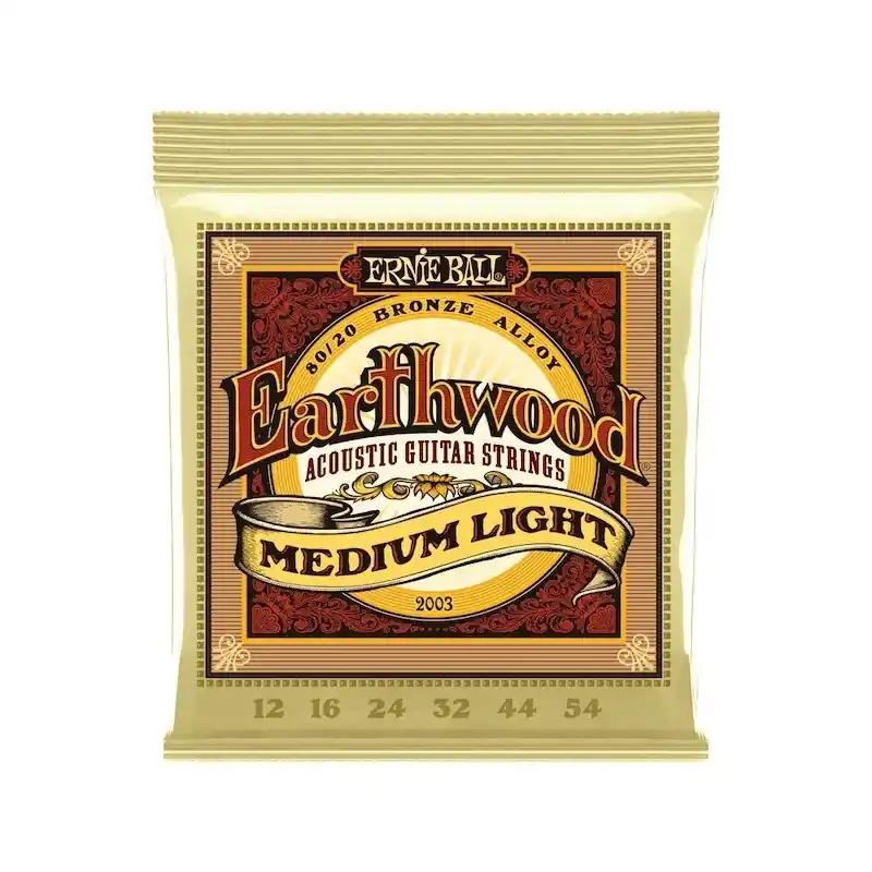 Nouvelle Collection Ernie Ball EarthWood Medium Light 12-54