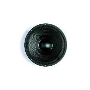 B&C Speakers - 15PS100 Nouvelle Collection