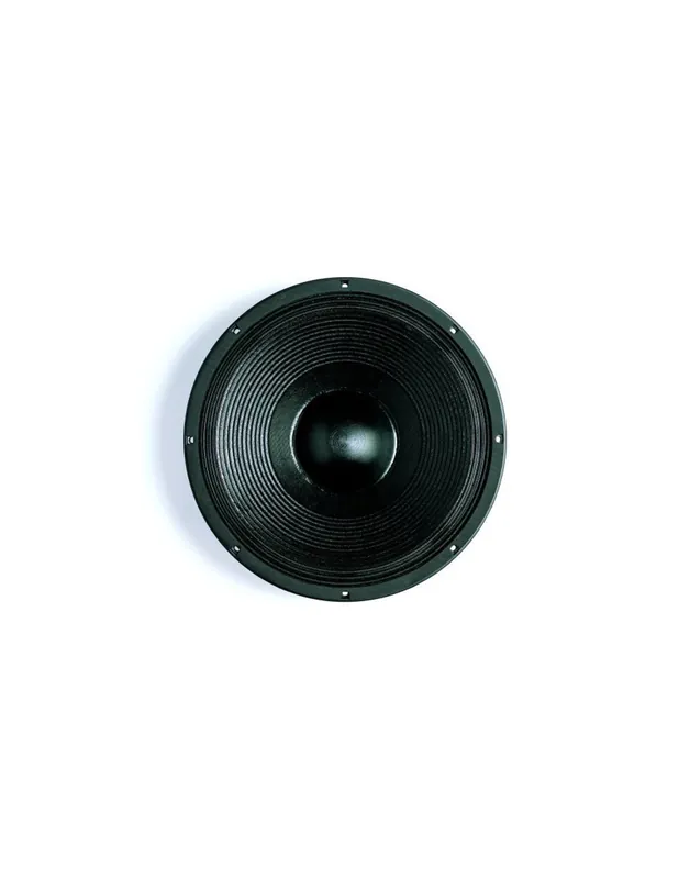 B&C Speakers - 15PS100 Nouvelle Collection