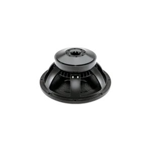 Livraison Express B&C Speakers - 15TBX100