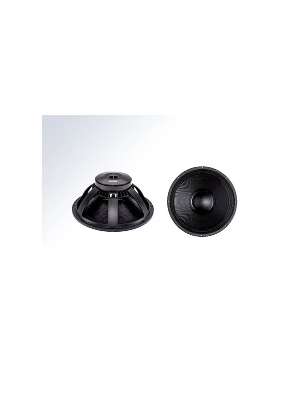 B&C Speakers - 18PS100 Offre Du Jour