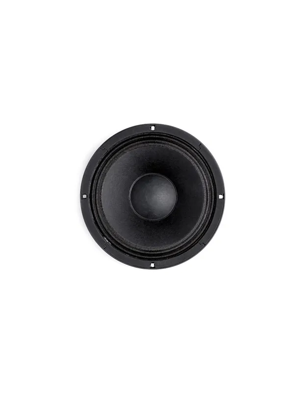 Livraison Express B&C Speakers - 10HPL64