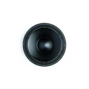 B&C Speakers - 12NDL76 Dernier Modèle