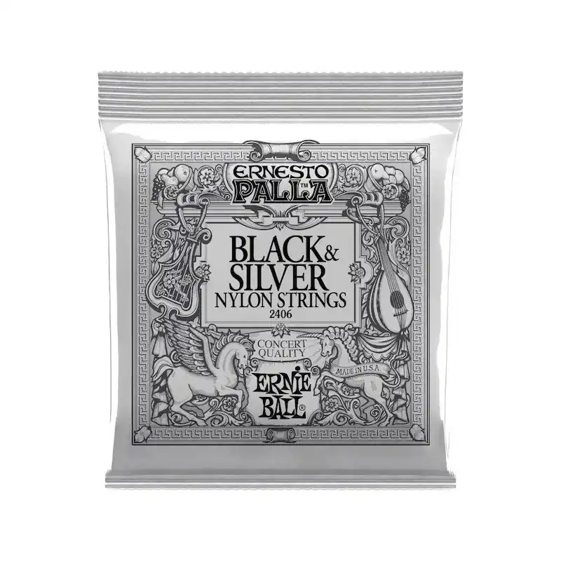 Achetez Aujourd'hui Ernie Ball Black & Silver Nylon