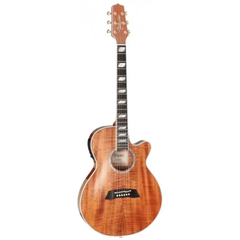 Takamine TSP178ACK N Haute Qualité