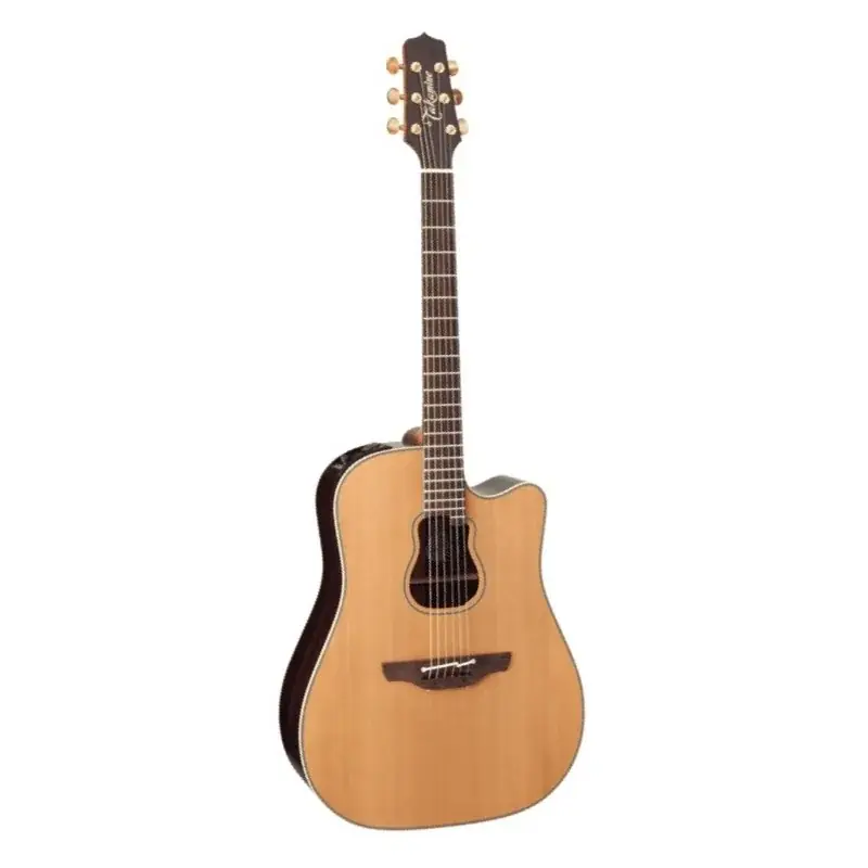 Remise Takamine Garth Brooks 7C