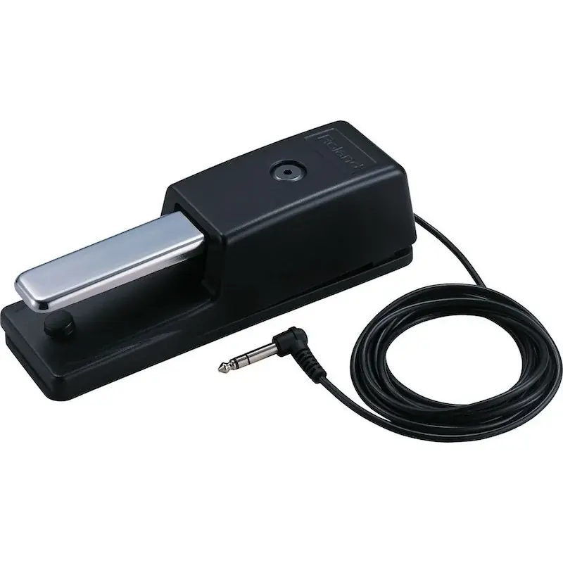 Commande En Gros Roland DP-10