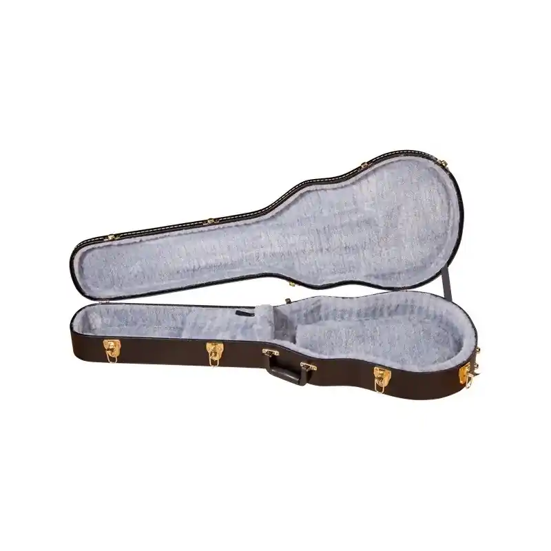 Jusqu'à Épuisement Des Stocks Gretsch G6238FT Case
