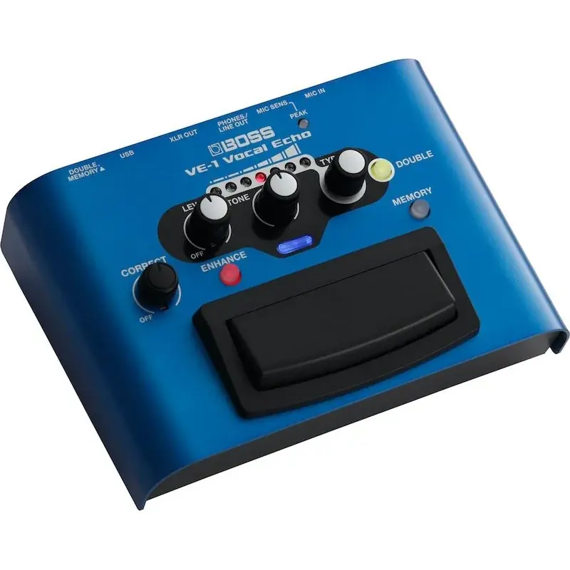 Boss VE-1 Vocal Echo Bon Plan