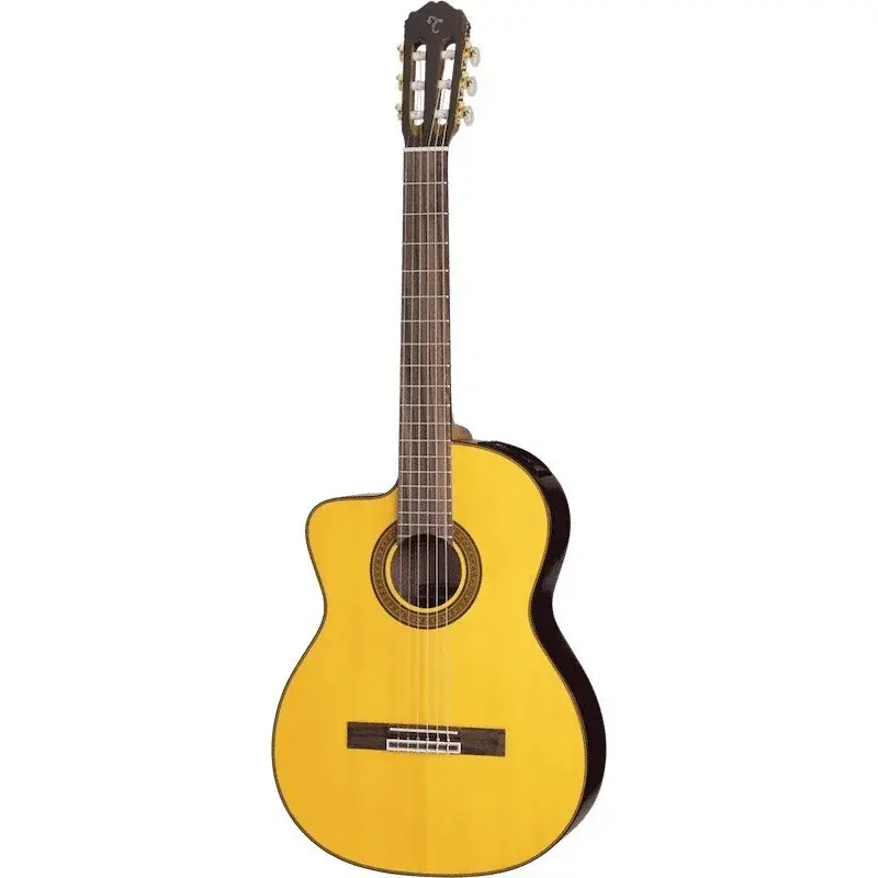 Prix Cassé Takamine GC5CE-NAT Gaucher