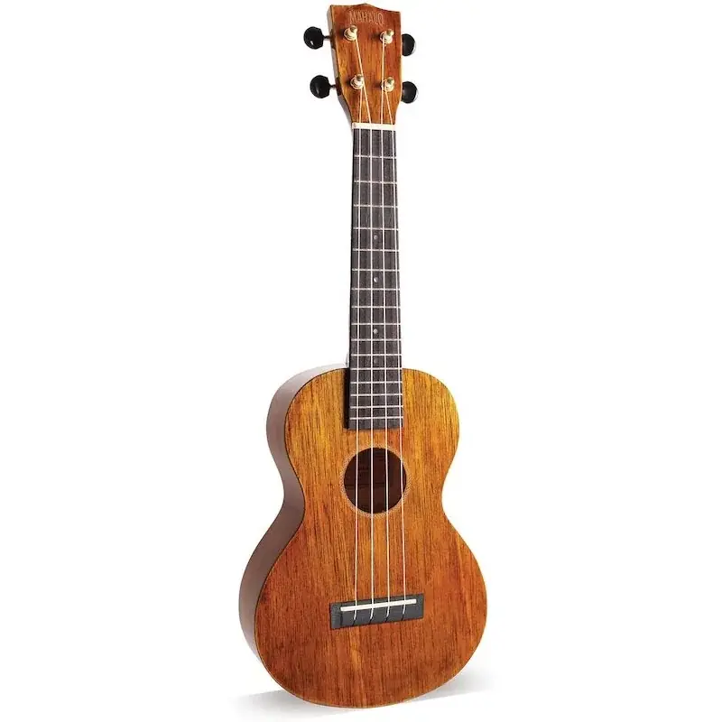 Promotion Saisonnière Mahalo Hano Concert VNA