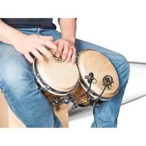 Prodipe - PL21 Salmiéri PERCUSSIONS Commande En Gros