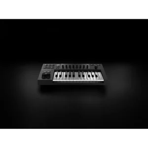 Réduction Native Instruments - Komplete Kontrol A25