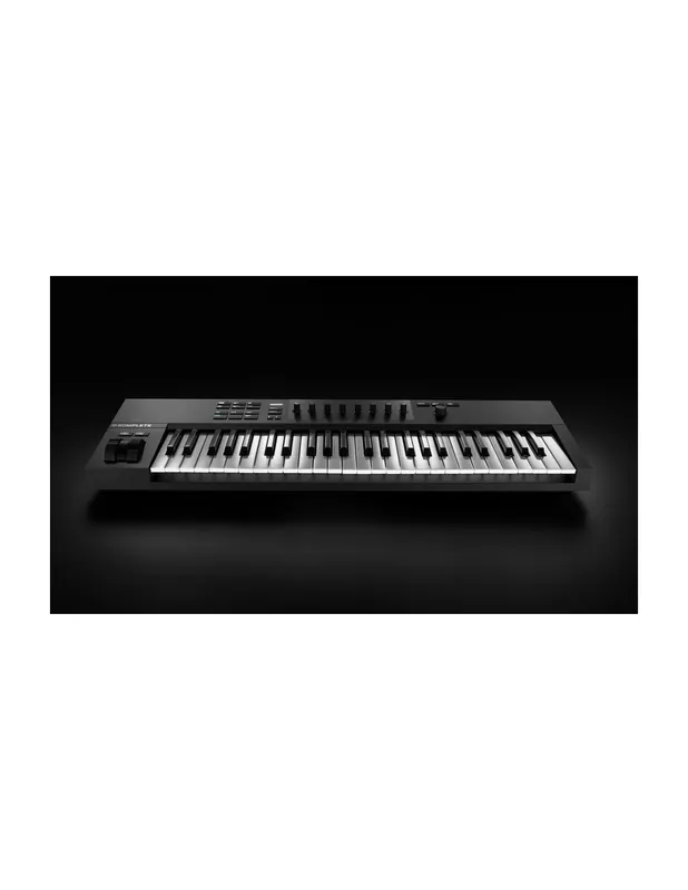 Native Instruments - Komplete Kontrol A49 Meilleure Vente