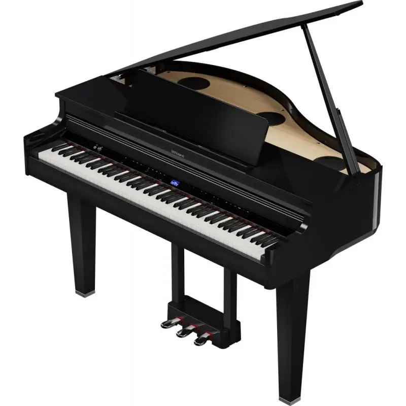 Roland GP-6 Solde