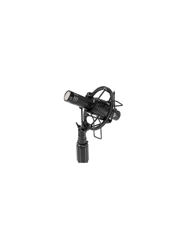 Warm Audio - WA 84 C Black Marque