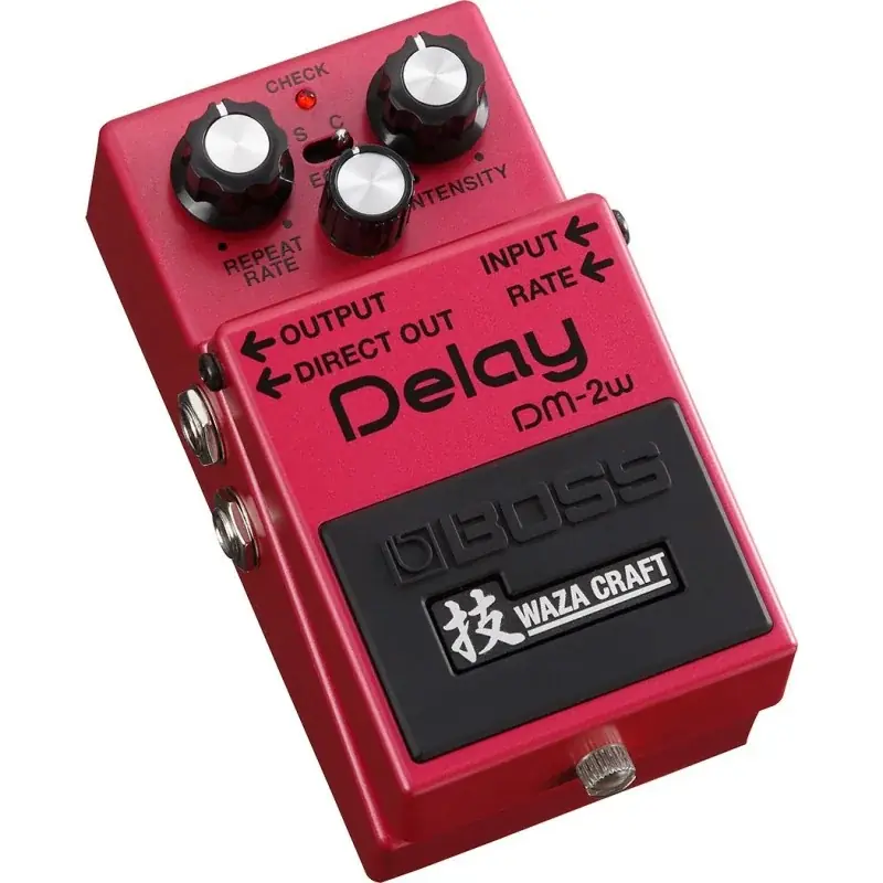 Roland DM-2W Delay Quantité Limitée