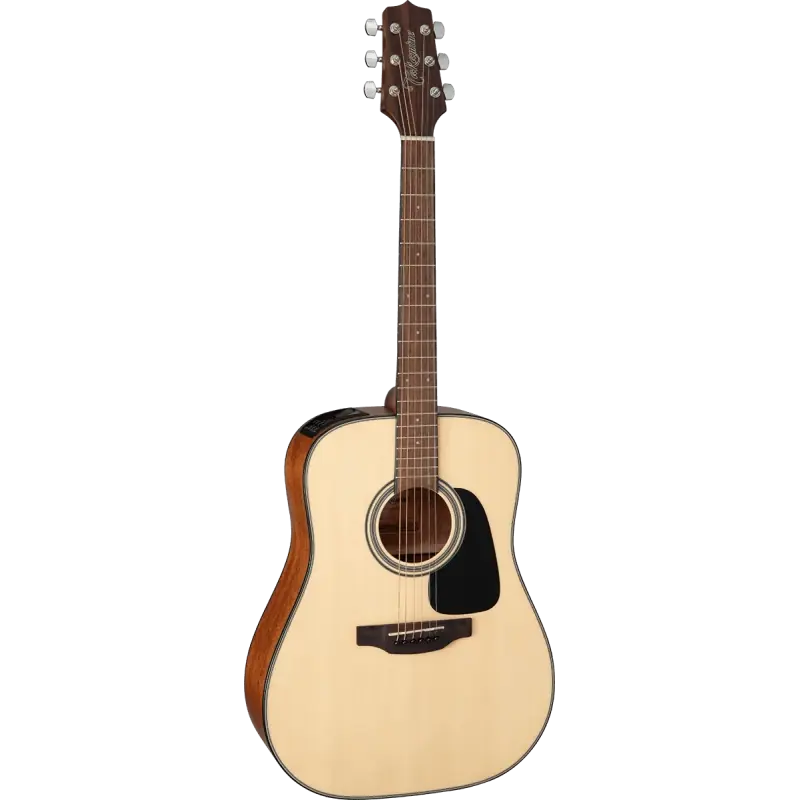 Prix Bas Takamine GLD12E NS