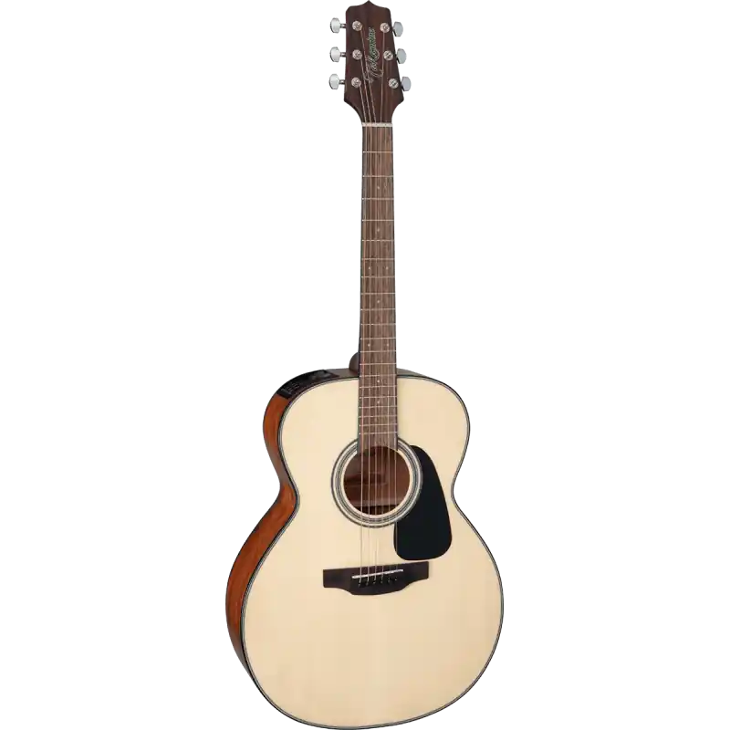 Prix Bas Takamine GLN12E NS