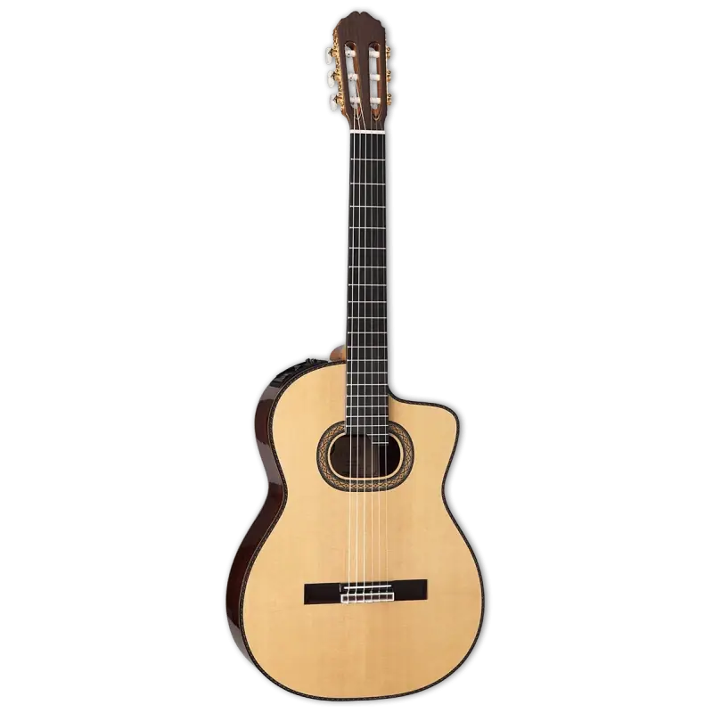 Usine Directe Takamine DH90