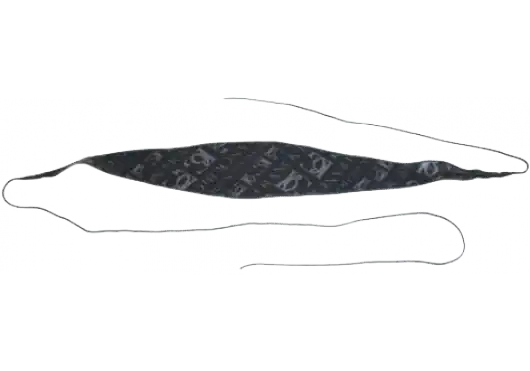 DISCONTINUE BG A38AS - Ecouvillon soie noire (1 partie) pour cor anglais Affaire À Saisir