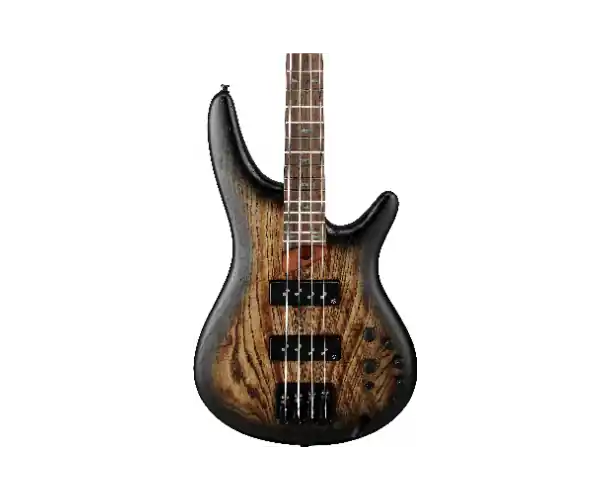 Offre Spéciale SR600E - ANTIQUE BROWN STAINED BURST