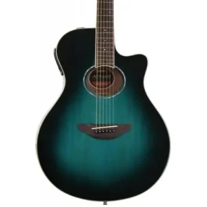 Offre Limitée EL. ACOUSTIC GUITAR APX600