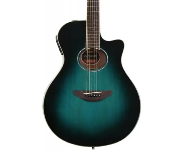 Offre Limitée EL. ACOUSTIC GUITAR APX600