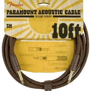 Offre Du Jour PARAMOUNT 10 ACOUSTIC INST CABLE