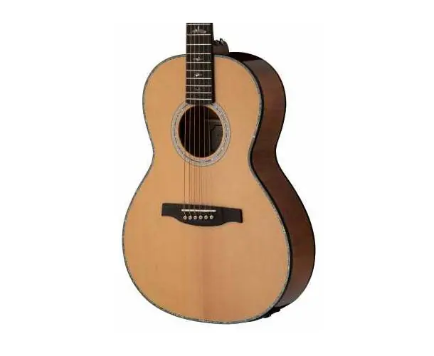 SE P50E NATURAL Vente Directe