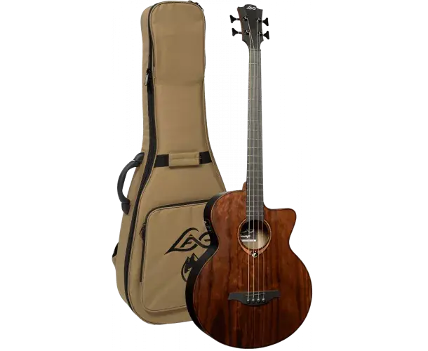 BASSE ELECTRO-ACOUSTIQUE SAUVAGE Offre Limitée
