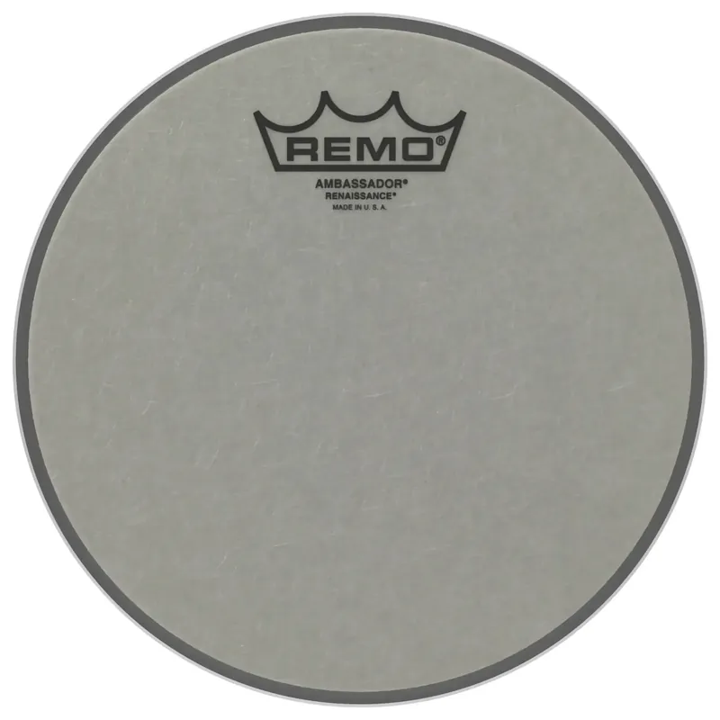 Nouveauté REMO Renaissance 06" Ambassador