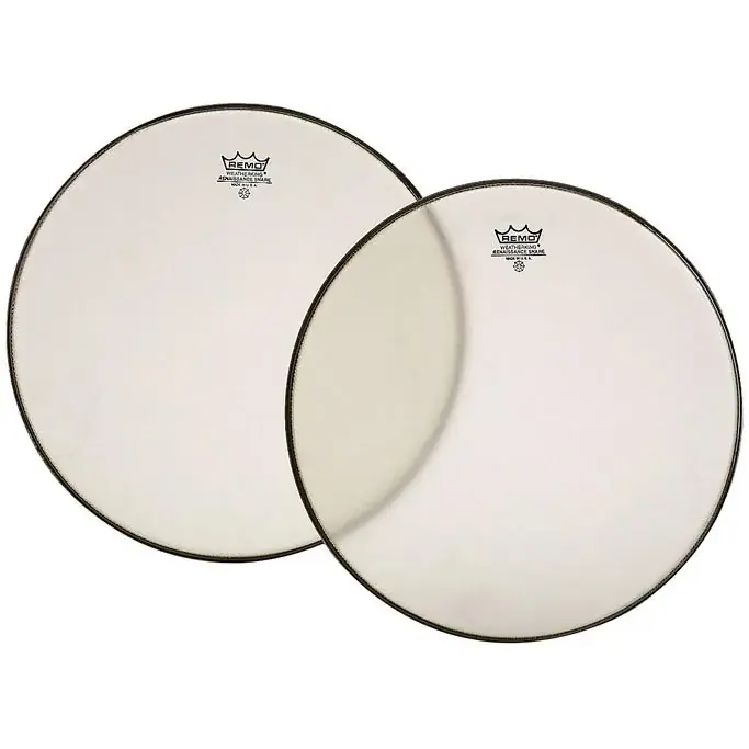 REMO Renaissance 15" Hazy Ambassador Commander Maintenant