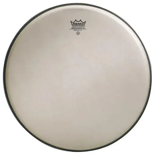 REMO Renaissance 16" Diplomat Promotion