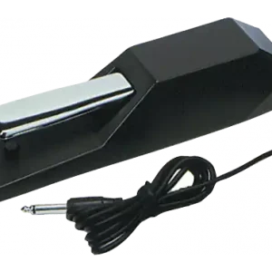 Expédition Rapide Korg DS-1H - Pédale de sustain