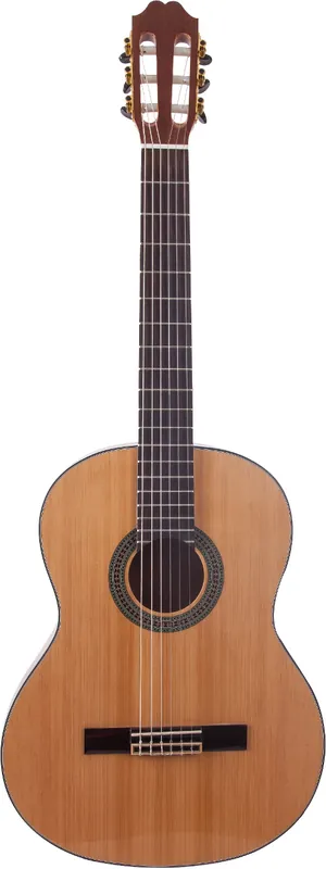 DISCONTINUE Prodipe ISPANA 1/2 Petit Prix