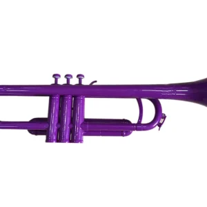 DISCONTINUE Jiggs Pbone pTrumpet - Trompette Sib en plastique violet avec housse et 2 embouchures Meilleur Choix
