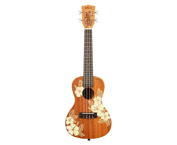 Commande En Gros MAORI - HIBISCUS MAHOGANY, CONCERT, LIVRE AVEC HOUSSE MOTIF VOYAGE