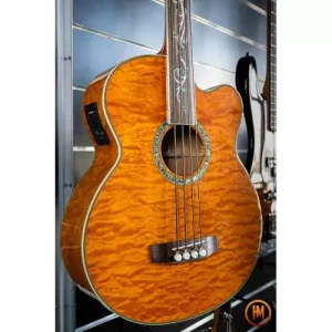 Remise MICHAEL KELLY- DRAGONFLY 4 FLAM FRETLESS + HOUSSE